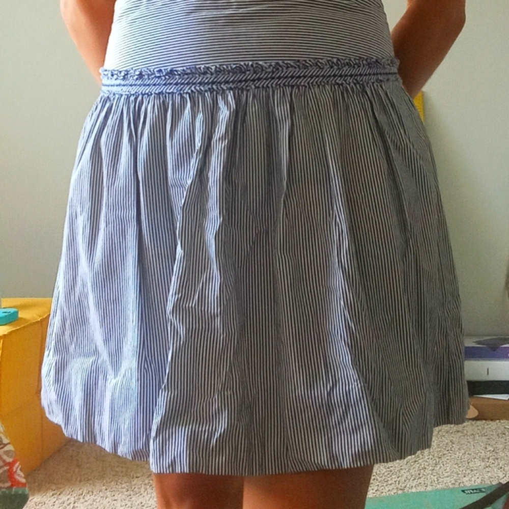 Striped American Eagle Skirt